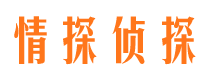 屏山商务调查